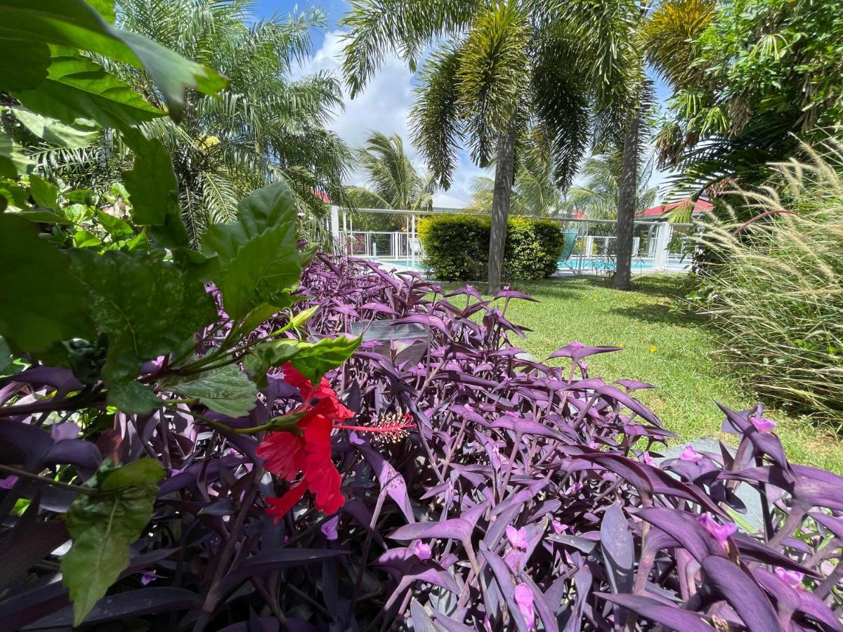 Hôtel&Villa Le Cocotel Saint-Francois  Exterior foto